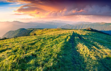 Colorful summer sunrise in Carpathian mountains