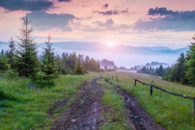 Natural summer scene in Carpathian mountains