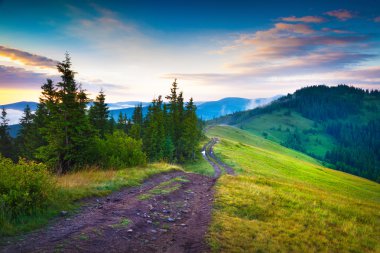 summer scene in the Carpathian mountains