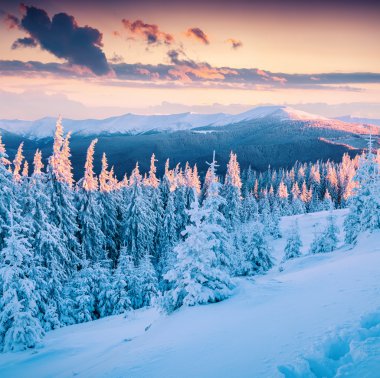 sabah Karpat Dağları.