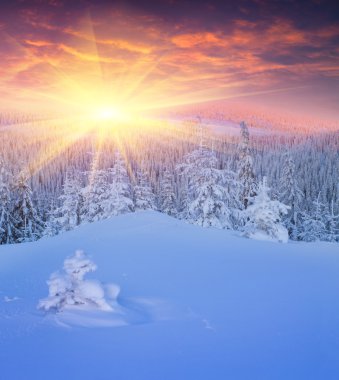 Renkli Kış gündoğumu Dağları. 