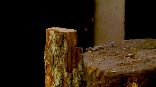 Bijl Splijt Het Logboek Hout Snijden Met Een Grote Scherpe — Stockvideo