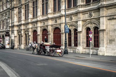 Vienna, AUSTRIA 27 Ağustos 2019. Viyana caddesinde bir at arabası
