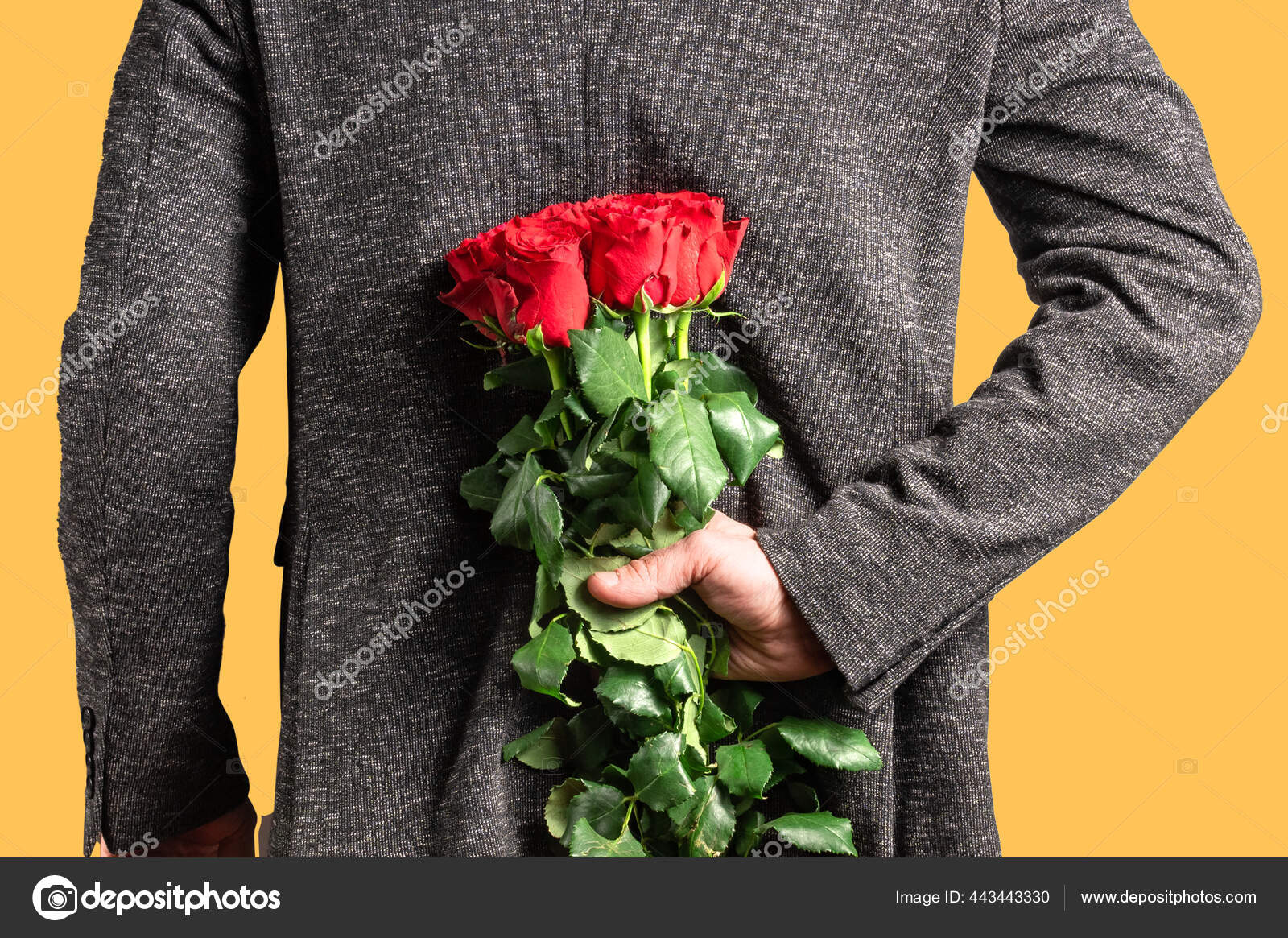 Homme Avec Bouquet Roses Rouges Dans Dos Homme Elegant Tenant Image Libre De Droit Par Borodaty C