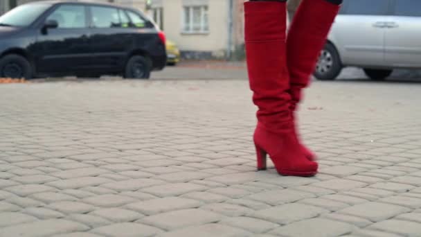 Piros Csizma Női Lábakon Egy Karcsú Lábú Piros Csizmás Fiatal — Stock videók