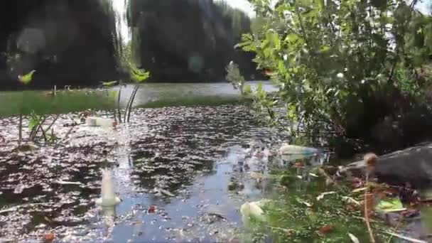 Vatten Förorenat Plastflaska Och Annat Skräp Förorenar Vattenmiljön — Stockvideo