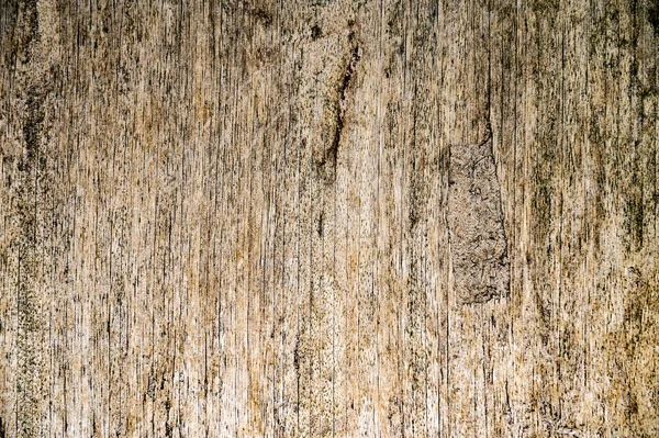 Struktura Dřeva Uzavírá Dřevo Rozpadá Dřevěnými Termity Staré Grunge Texturované — Stock fotografie