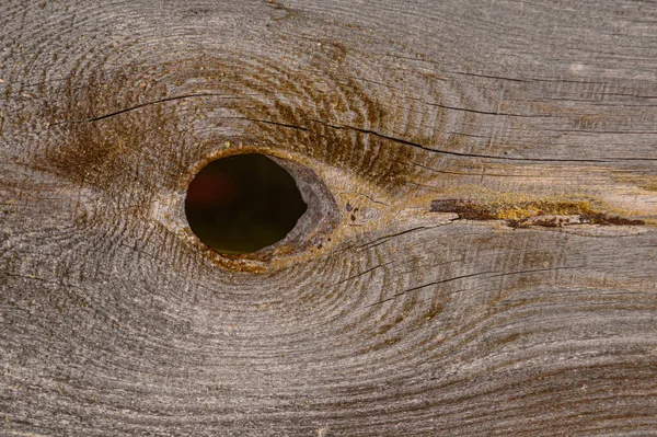 Träbakgrund Gammal Trästruktur Naturlig Trä Struktur För Bakgrund Kopiera Utrymme — Stockfoto