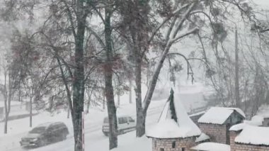 Şehirde yoğun kar yağışı var. Şiddetli karla kaplı köknar ağaçları