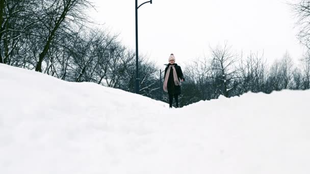 Ένα Κορίτσι Περπατάει Ένα Χιονισμένο Πάρκο Χειμερινό Περπάτημα Κορίτσι — Αρχείο Βίντεο