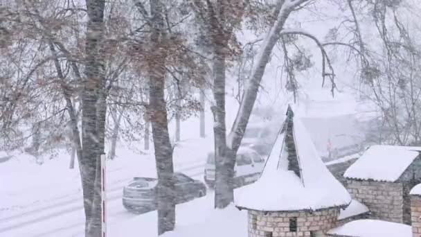 Kraftigt Snöfall Staden Snötäckta Granar Kraftigt Snöfall — Stockvideo