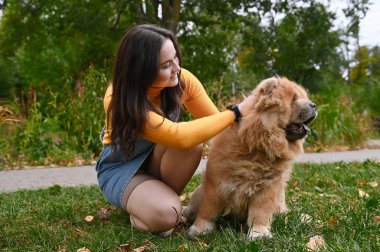 Genç bir kadın ve köpeği parkta dinleniyorlar. Chow Chow 'lu genç bir kadın.
