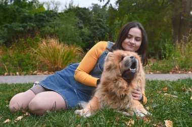 Genç bir kadın ve köpeği parkta dinleniyorlar. Chow Chow 'lu genç bir kadın.