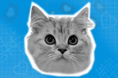 Mavi kağıt arka planda komik kedi kafaları efekti. Moda modası geçmiş evcil hayvan pop estetiği. 