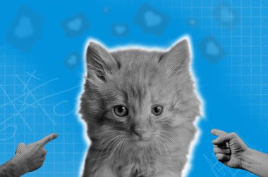 Mavi kağıt arka planda komik kedi kafaları efekti. Moda modası geçmiş evcil hayvan pop estetiği. 