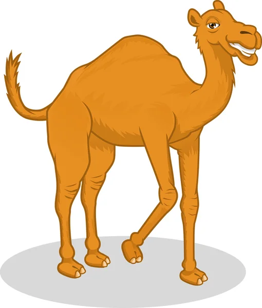 Мультфильм высокого качества "Вектор верблюда" — стоковый вектор