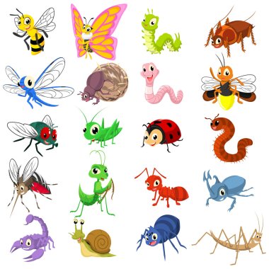 Set of Insect Cartoon Character Flat Design Vector Illustration clipart