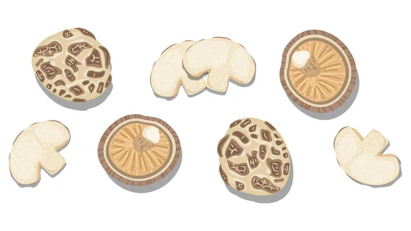 Beyaz arka planda izole edilmiş, güzel Düz Yerde Gıda tarzı vektör çizimi. Shiitake mantarı.. 