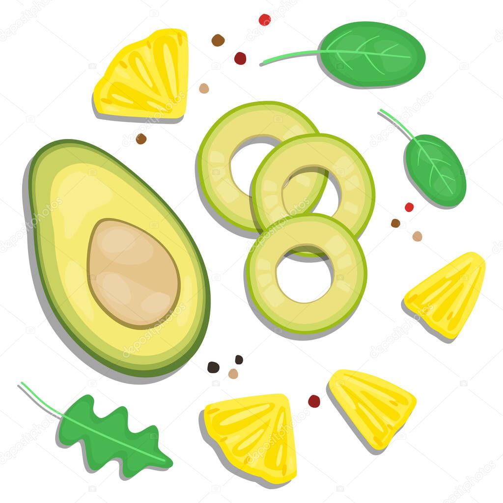 vector illustration close up top view of fresh ingredient sliced. avocado, pineapple, salad leaf, pepper.