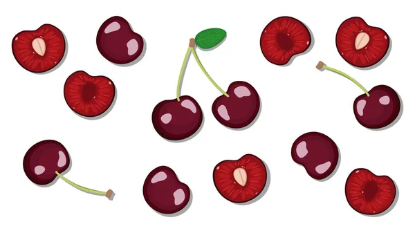 Векторная Иллюстрация Красивых Красных Сочных Вишен Выделенных Белом Фоне Cherry — стоковый вектор