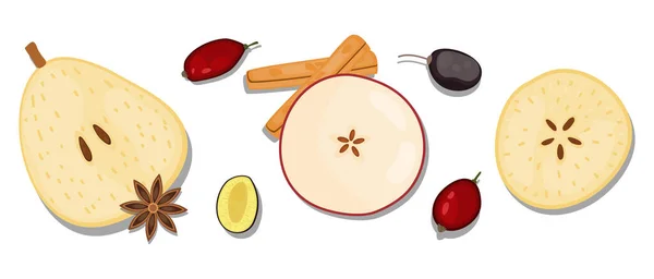 Beyaz arka planda izole edilmiş, elle çizilmiş düz yatak, Gıda Knolling stili vektör çizimi. Sonbahar vegan malzemesi; armut, yıldız anason, kırmızı böğürtlen, tarçın çubuğu, kuru erik, elma,