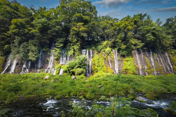 Surrounding Falls Shiraito Falls Fujinomiya Japan List Japan Top 100 — Stock Photo, Image