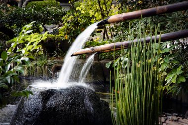 Japonya 'nın Kamakura kentindeki bir parktaki bambu borularından su fışkırıyor..