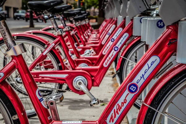 El Paso B bisiklet kiralama standında düzenlenmiş. El Paso, Teksas 'ta..