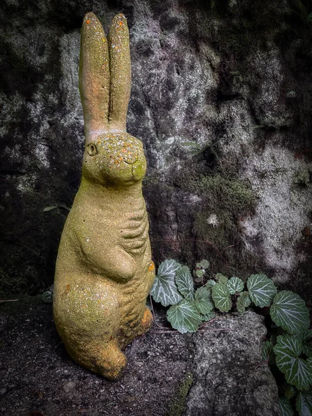 Statue Lapin Dans Temple Meigetsu Construit 1394 Près Kamakura Japon — Photo