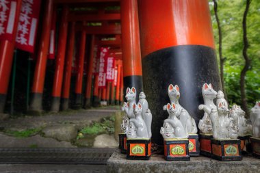 Japonya, Kamakura yakınlarındaki Sasuke Inari-jinja Tapınağı 'nın bu torii kapısının girişindeki küçük tilki heykelleri..