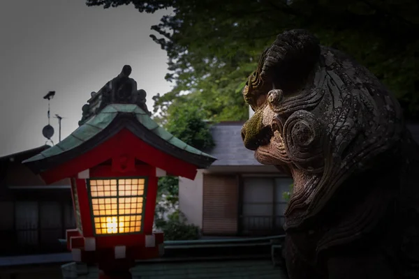 Une Lanterne Illumine Visage Une Statue Lion Sur Une Rue — Photo