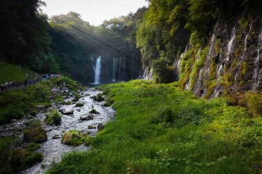Japonya 'nın Fujinomiya yakınlarındaki Shiraito Şelalelerine bakan turistler, Japonya' nın En İyi 100 Şelalesi listesinde yer alıyorlar..