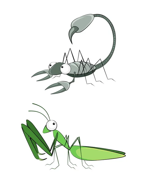 Insect scorpion and mantis — Stock Vector