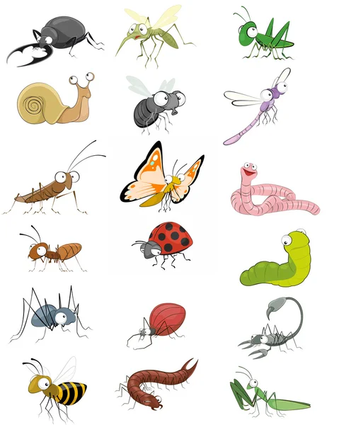 Icons insects set — Stock Vector