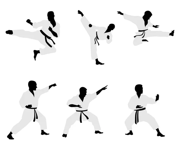 Sex karateka silhuetter — Stock vektor