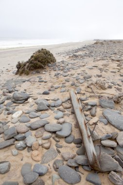 Gemi enkazı Namibya.