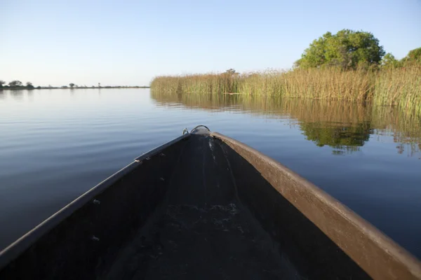 Mokoro em Okavango Delta — Fotografia de Stock