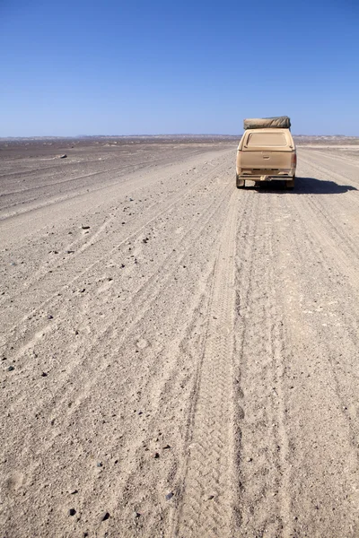 Σαφάρι Αφρικής 4 x 4 — Φωτογραφία Αρχείου