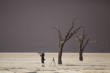 Dead trees in Deadvlei, Namibia clipart