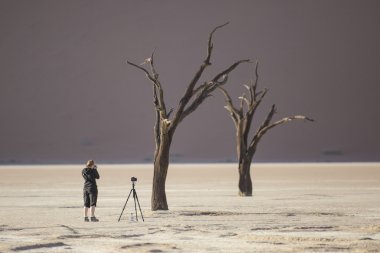 deadvlei, Namibya, ölü ağaçlar