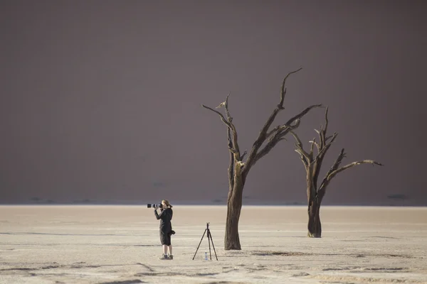Mrtvé stromy v deadvlei, Namibie — Stock fotografie