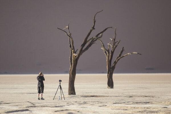 Dead trees in Deadvlei, Namibia