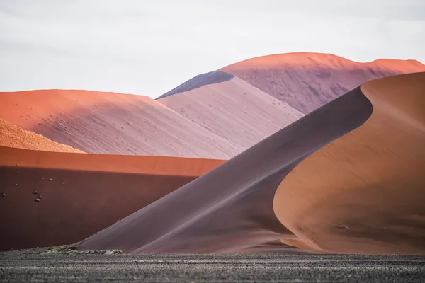 Sand dunes of Sossusvlei — Stock Photo, Image