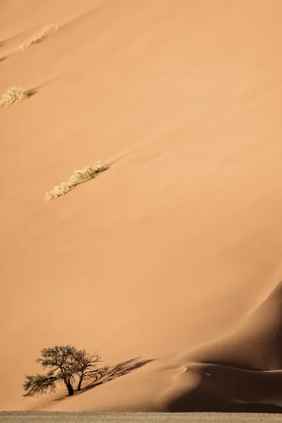 Duna de areia em Sossusvlei — Fotografia de Stock