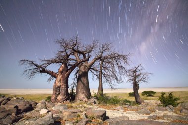 Baobab ağacının altında Samanyolu