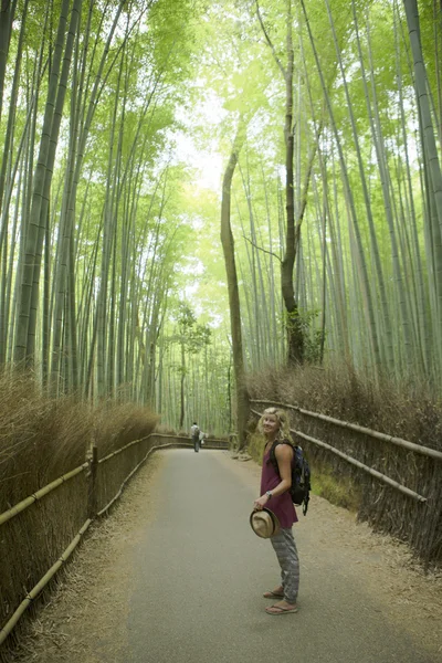 Foresta di bambù — Foto Stock