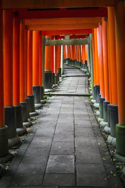 盖茨的伏见 Inari 泰山祠 — 图库照片