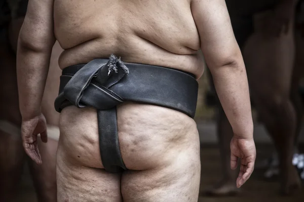 Sumo-Ringer — Stockfoto