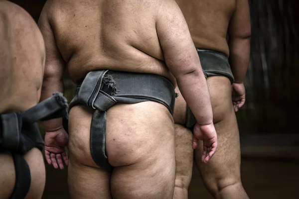 Lutadores de sumo — Fotografia de Stock