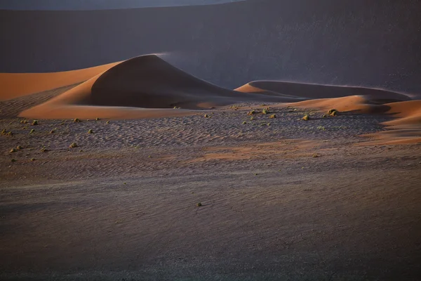 Duna de arena — Foto de Stock